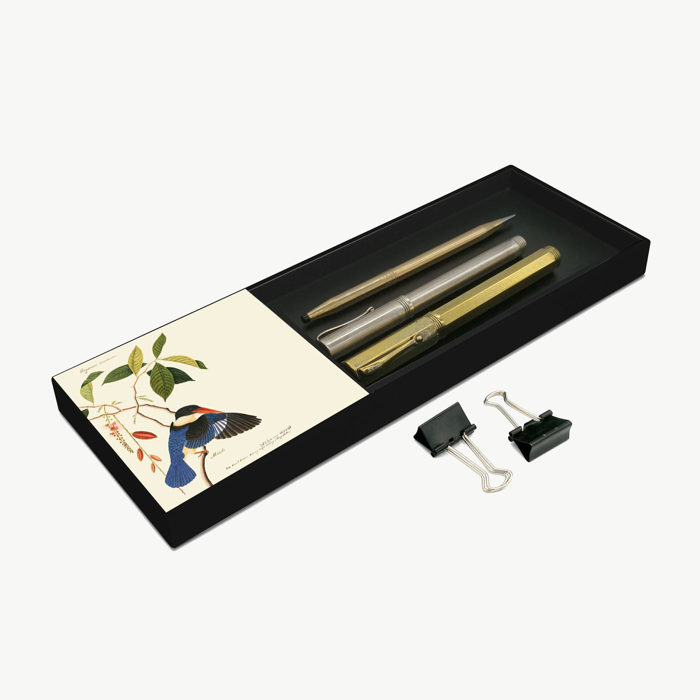 Qua - William Farquhar Stationery Holder - Black-capped Kingfisher