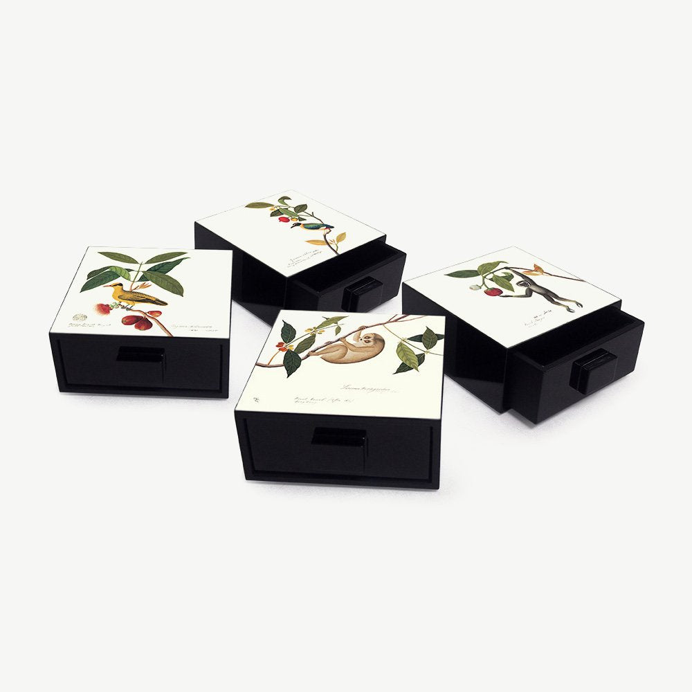 Qua - William Farquhar Treasure Box - Gibbon