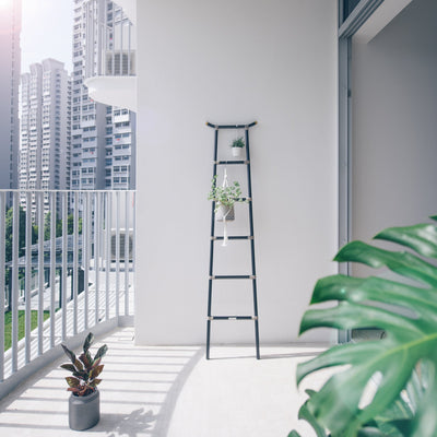 TENG Ladder (Floor Model)