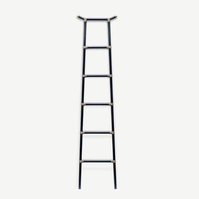 TENG Ladder